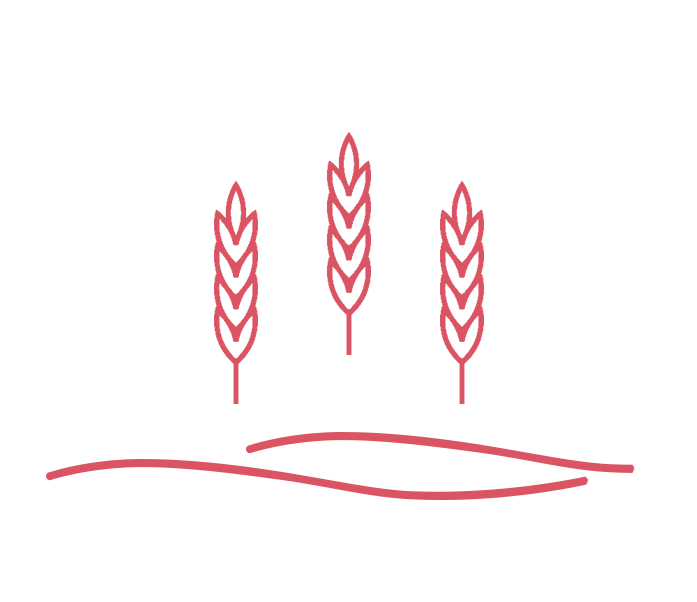 https://roboticagrosystems.com/wp-content/uploads/2023/06/icon_v2_3.png